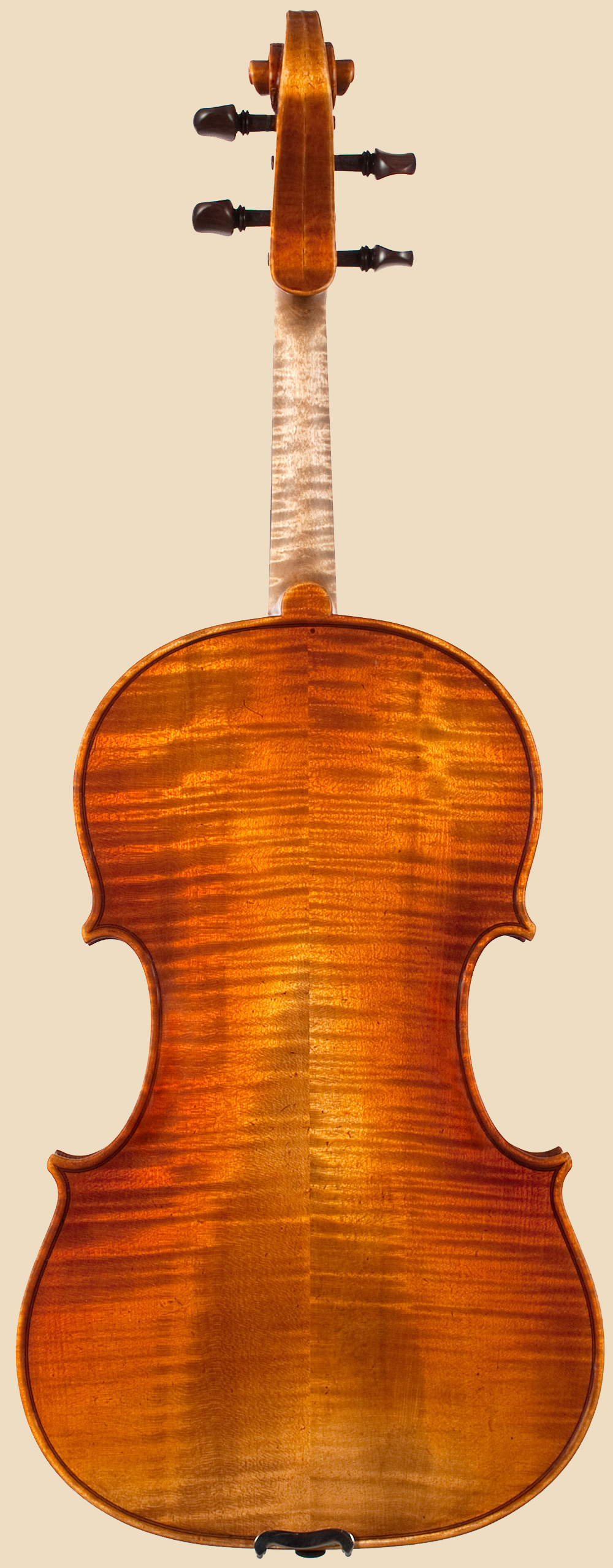 andrzej swietlinski viola